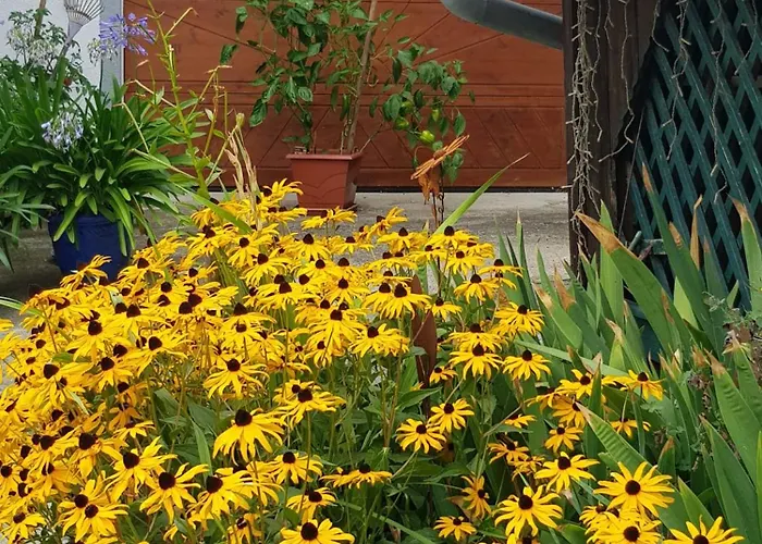 Apartment Lisis Appartements, Privatzimmer, Gross Taxen